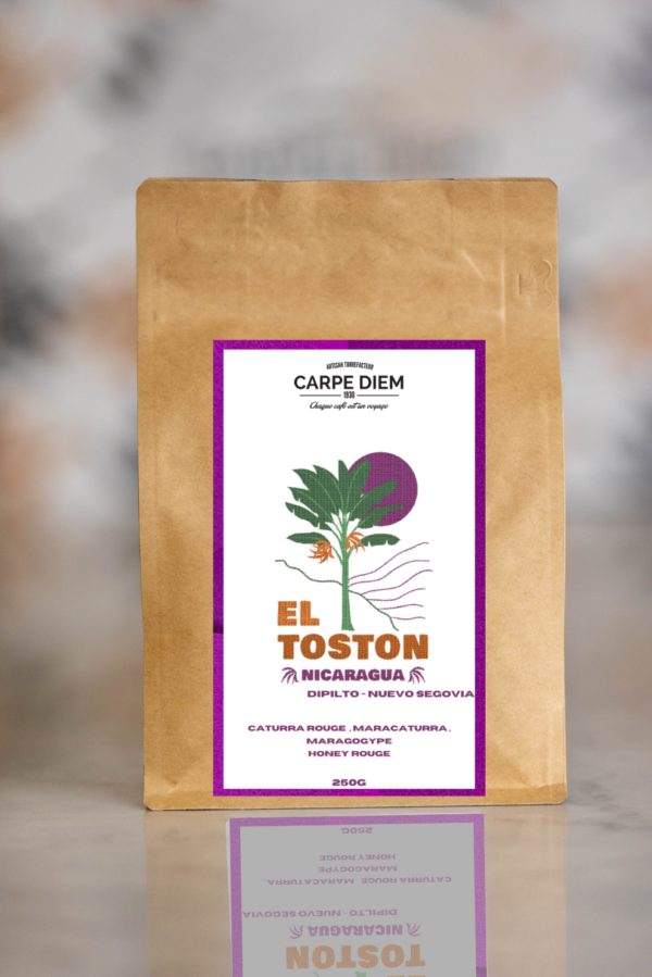 Café El Toston Nicaragua